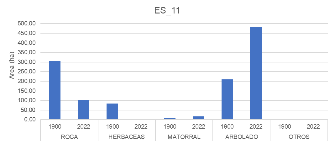 image (2)